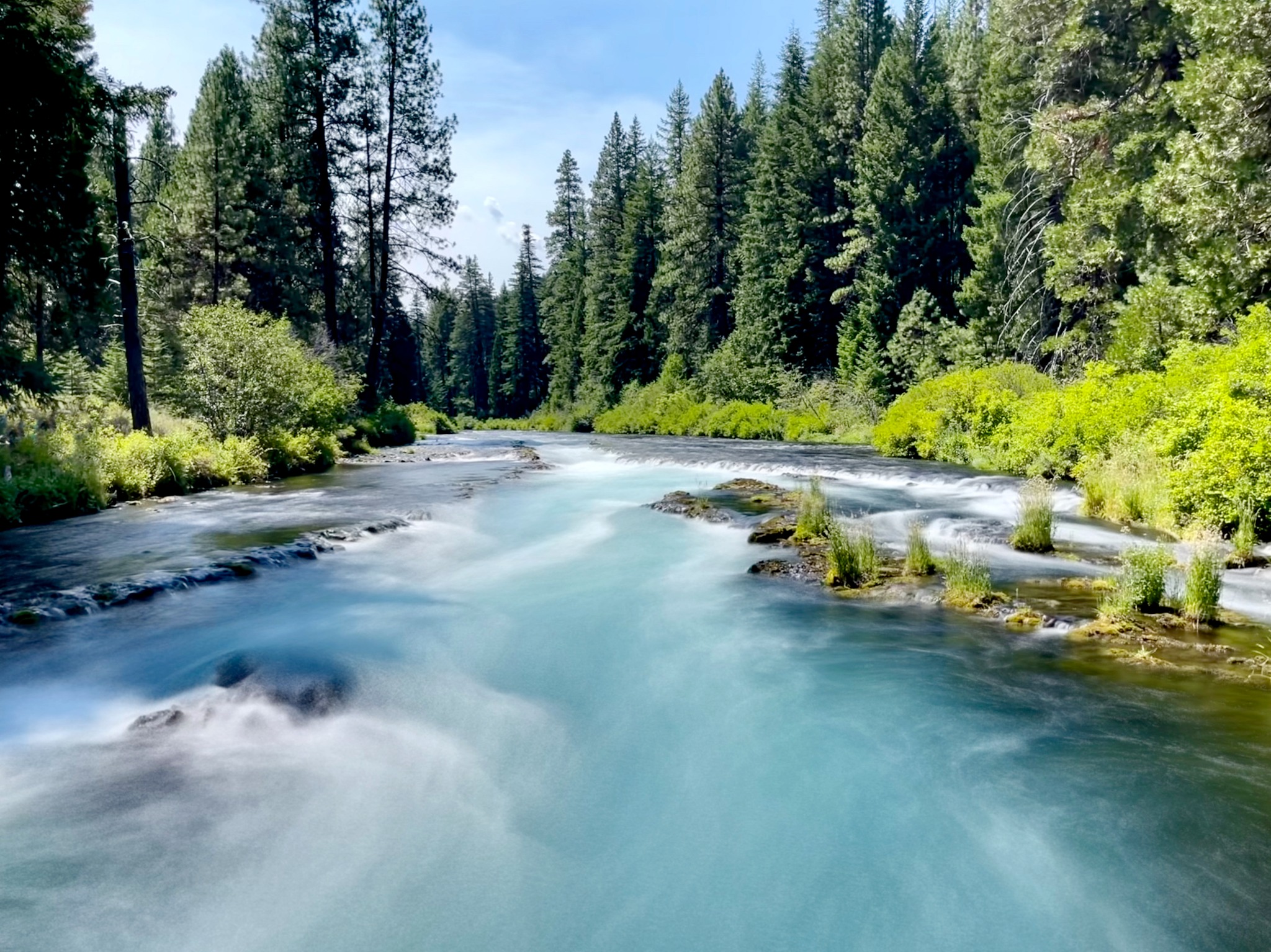 The turquoise Metolius River flowing through a forest